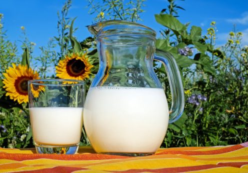 В Украине образовался острый дефицит молока