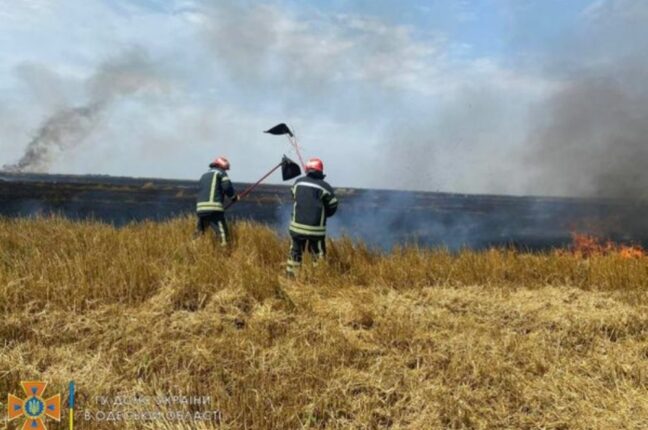 Пожар на поле в Одесской области