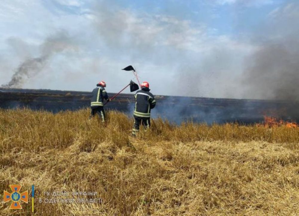 Пожар на поле в Одесской области