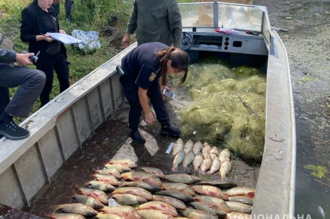 Незаконный вылов рыбы