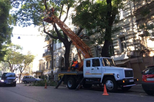 Обрезка деревьев по ул. Лейтенанта Шмадта в Одессе
