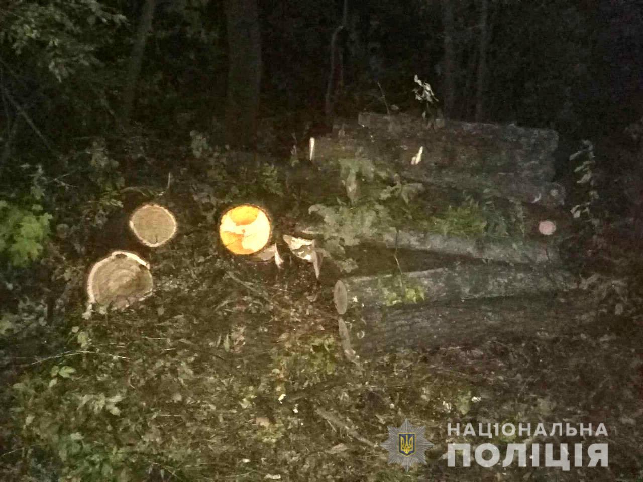 В Одесской области парнеь пилил деревья