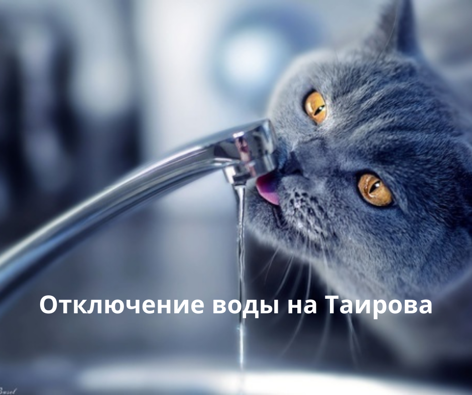 таирова Одесса отключение воды