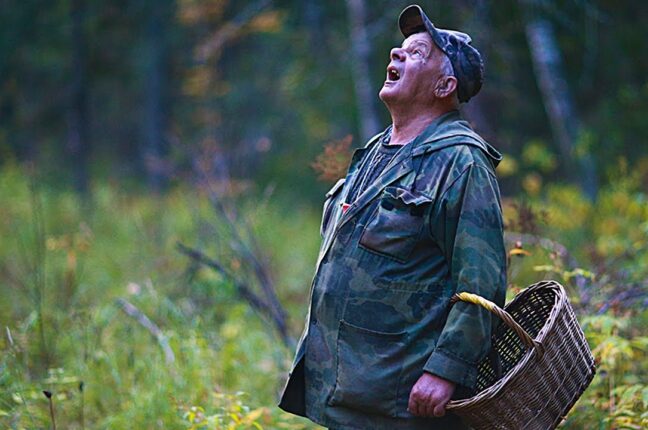 В Одесской области пожилой мужчина заблудился в лесу