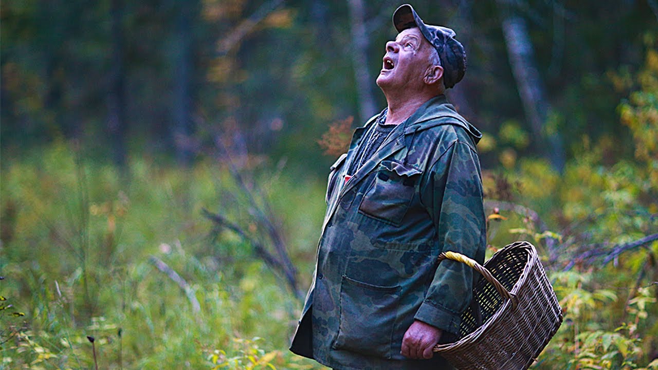 В Одесской области пожилой мужчина заблудился в лесу