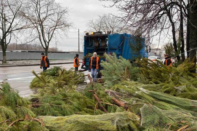В Одессе продавцы елок бросили на улицах тысячи непроданных деревьев