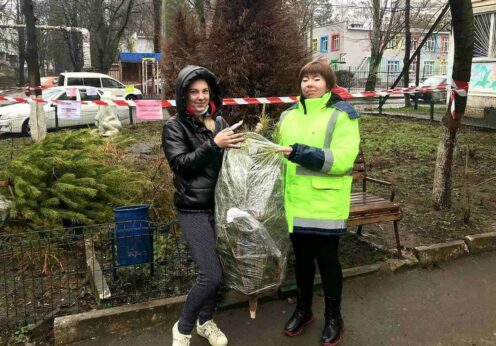 Более полутысячи одесситов сдали новогодние деревья на переработку