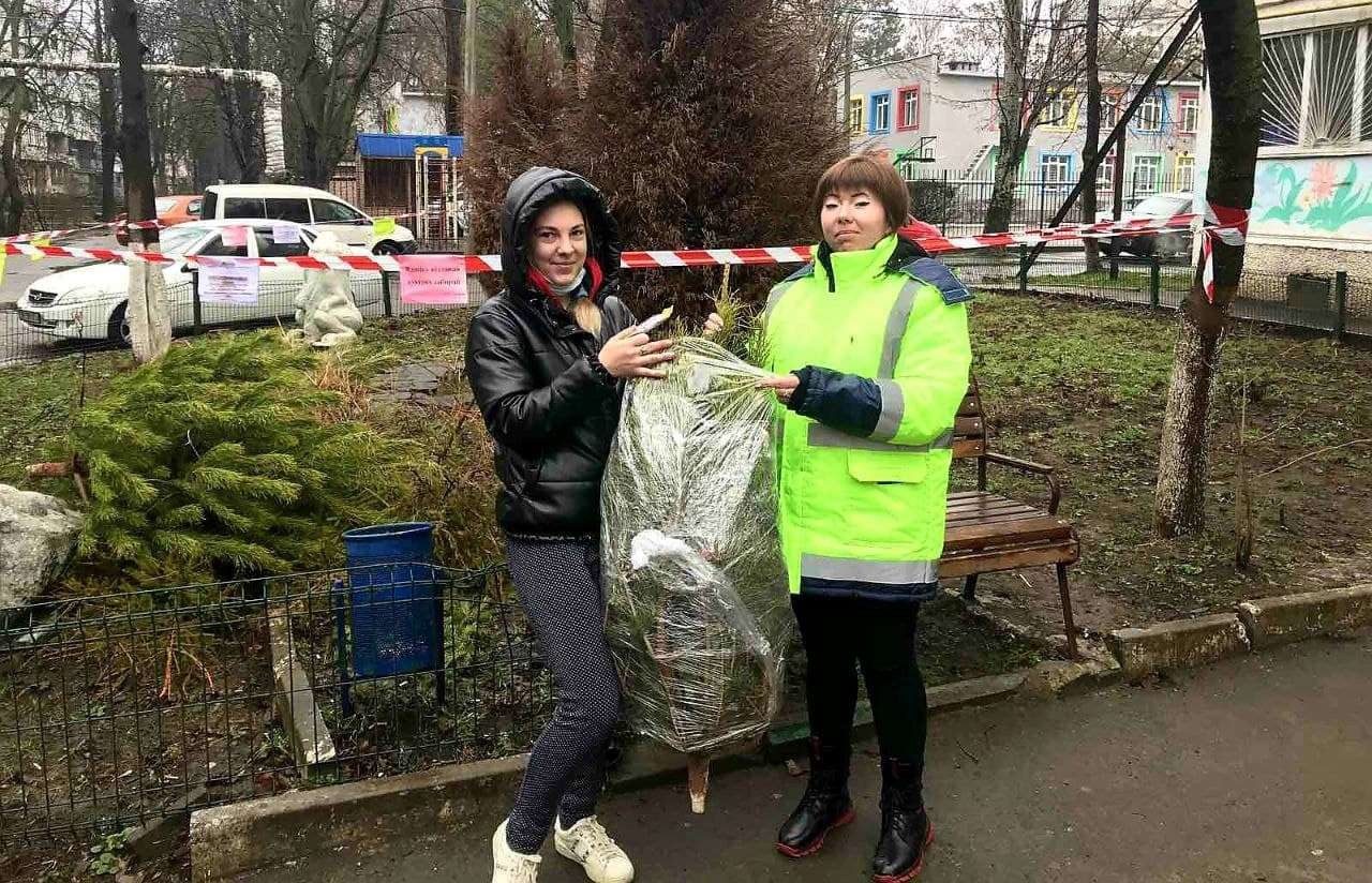 Более полутысячи одесситов сдали новогодние деревья на переработку