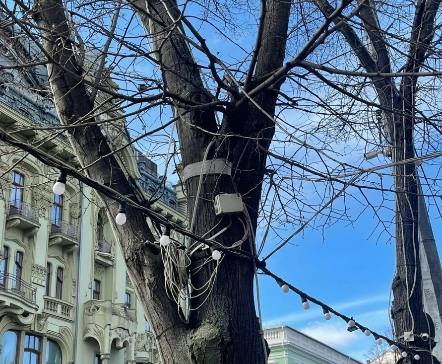 На Дерибасовской предпринимателей просят убрать кабели и таблички с деревьев