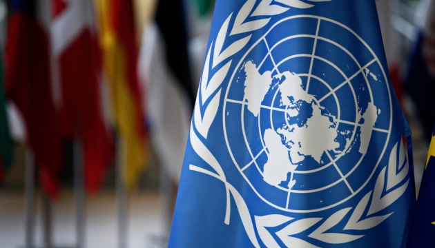 Верховная Рада запросила помощь у миротворцев ООН