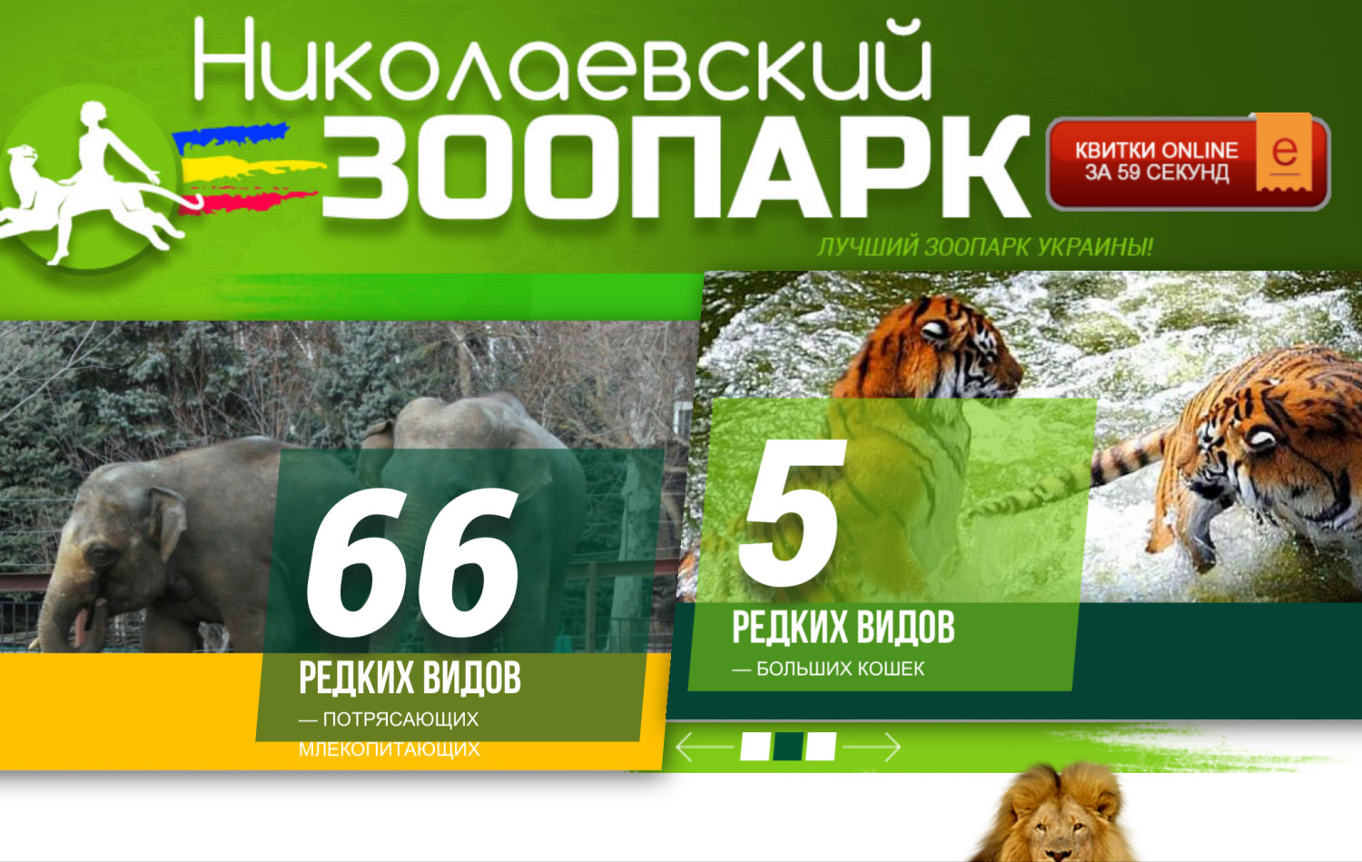 В Николаевском зоопарке до апреля раскупили все электронные билеты