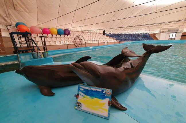 животные из дельфинария НЕМО в Харькове