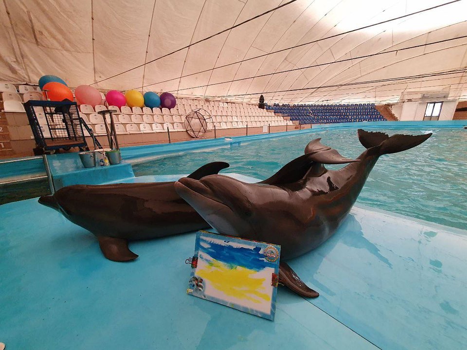 животные из дельфинария НЕМО в Харькове