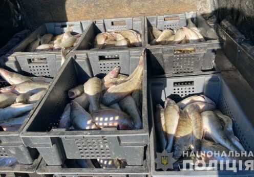 В Одесской области полицейские изъяли около 400 килограммов незаконно выловленной рыбы и раков