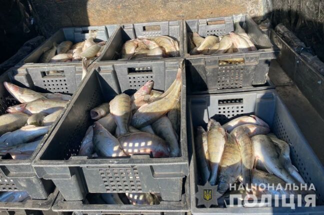 В Одесской области полицейские изъяли около 400 килограммов незаконно выловленной рыбы и раков