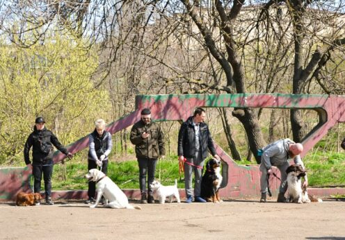 В Одессе собак учат искать взрывчатку