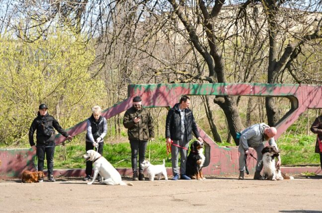 В Одессе собак учат искать взрывчатку