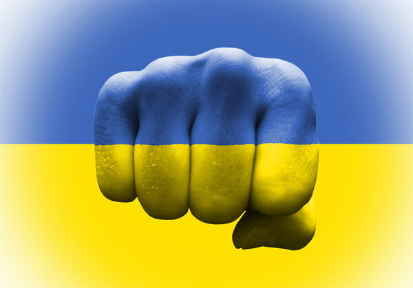 Большинство украинцев считают, что наша страна отразит нападение РФ