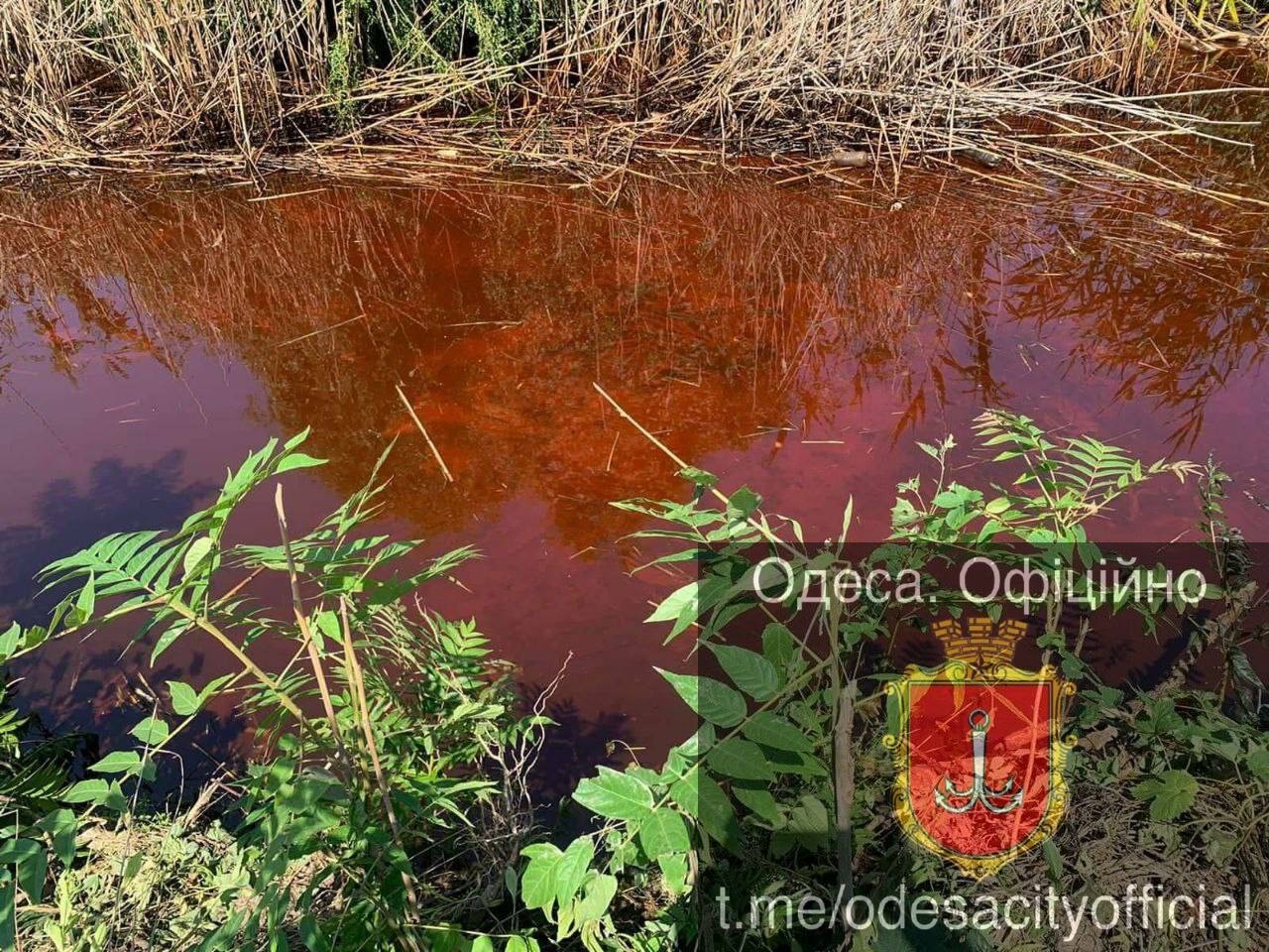 Экологи проверяют воду из Куяльницкой канавы