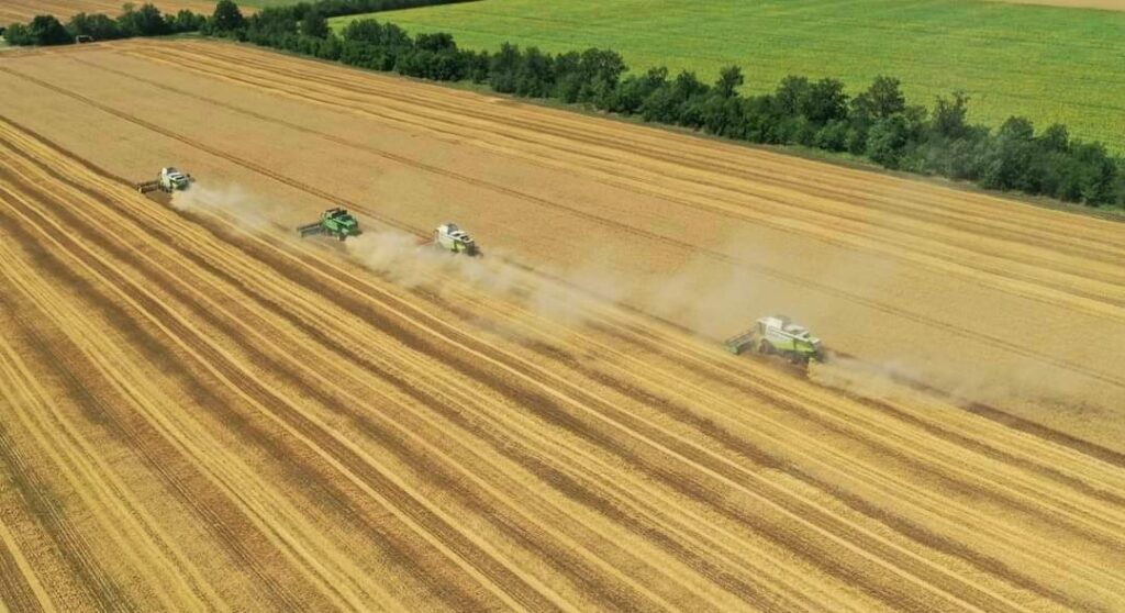 Одесские аграрии первыми в Украине приступили к сбору урожая
