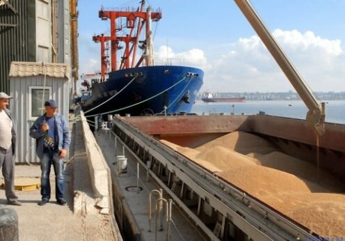 Как будет происходить экспорт зерна из портов Одесской области