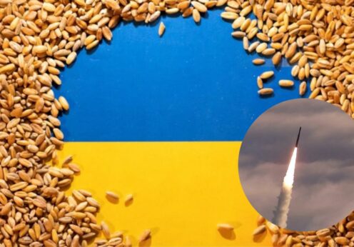 У порту Одеси, який атакували росіяни, знаходилось зерно на експорт