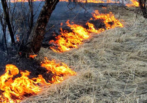 В Одесі очікується висока пожежна небезпека