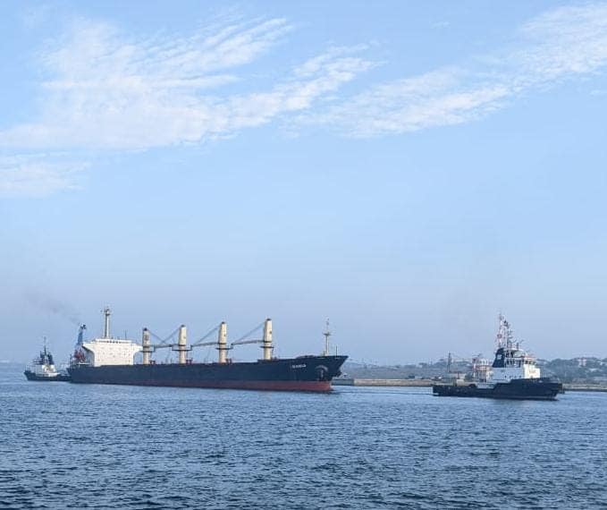 З портів Одеської області вже вивезли понад 600 тисяч тонн вантажів