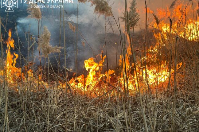 Одеські рятувальники ліквідували масштабну пожежу на полях фільтрації.