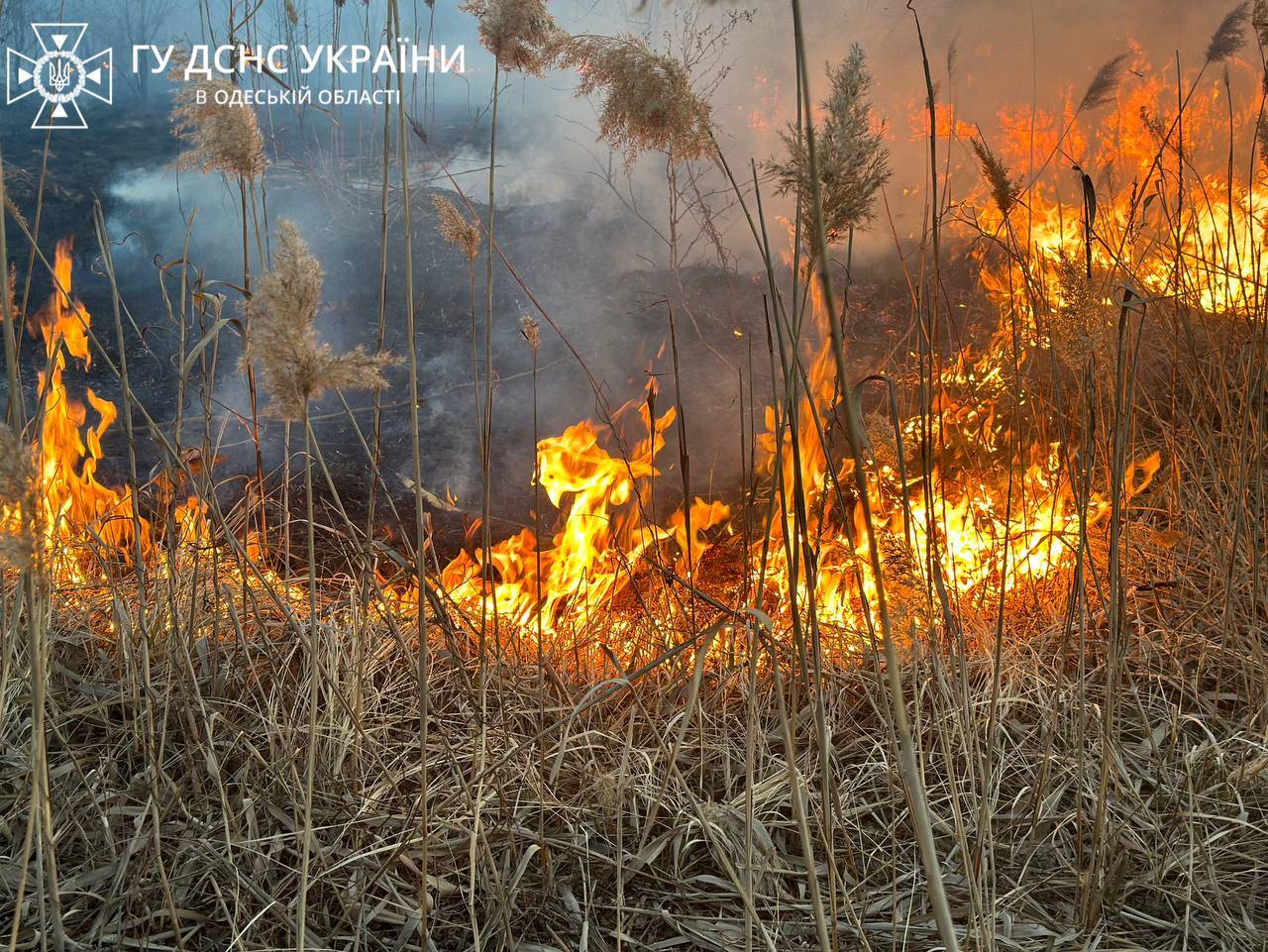 Одеські рятувальники ліквідували масштабну пожежу на полях фільтрації.