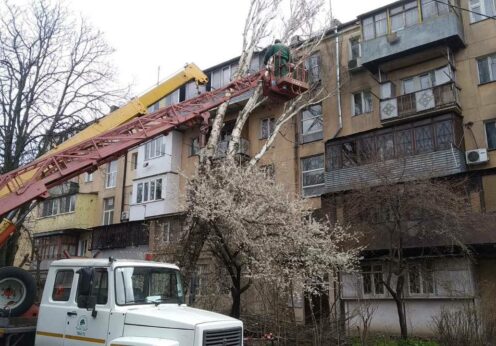 Сильний вітер в Одесі призвів до падіння понад 100 дерев