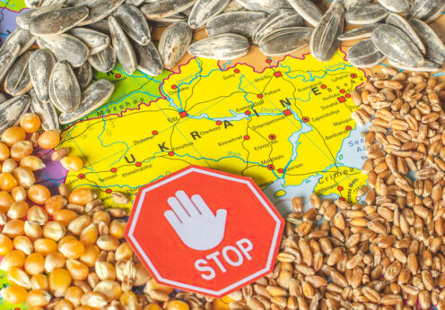 Польща заборонила імпорт українського зерна
