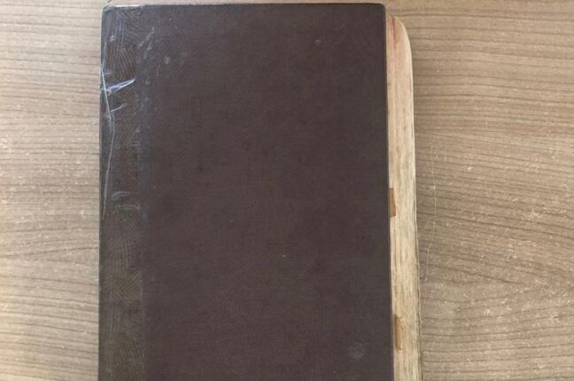 На Одещині прикордонники виявили Біблію 1907 року випуску