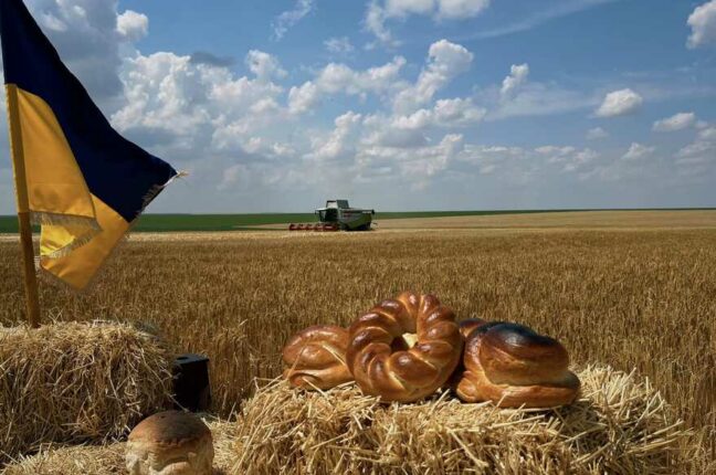 зерно урожай 2023 Одеса Одеська область