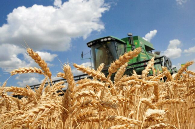 Одеські аграрії вже обмолотили зернові
