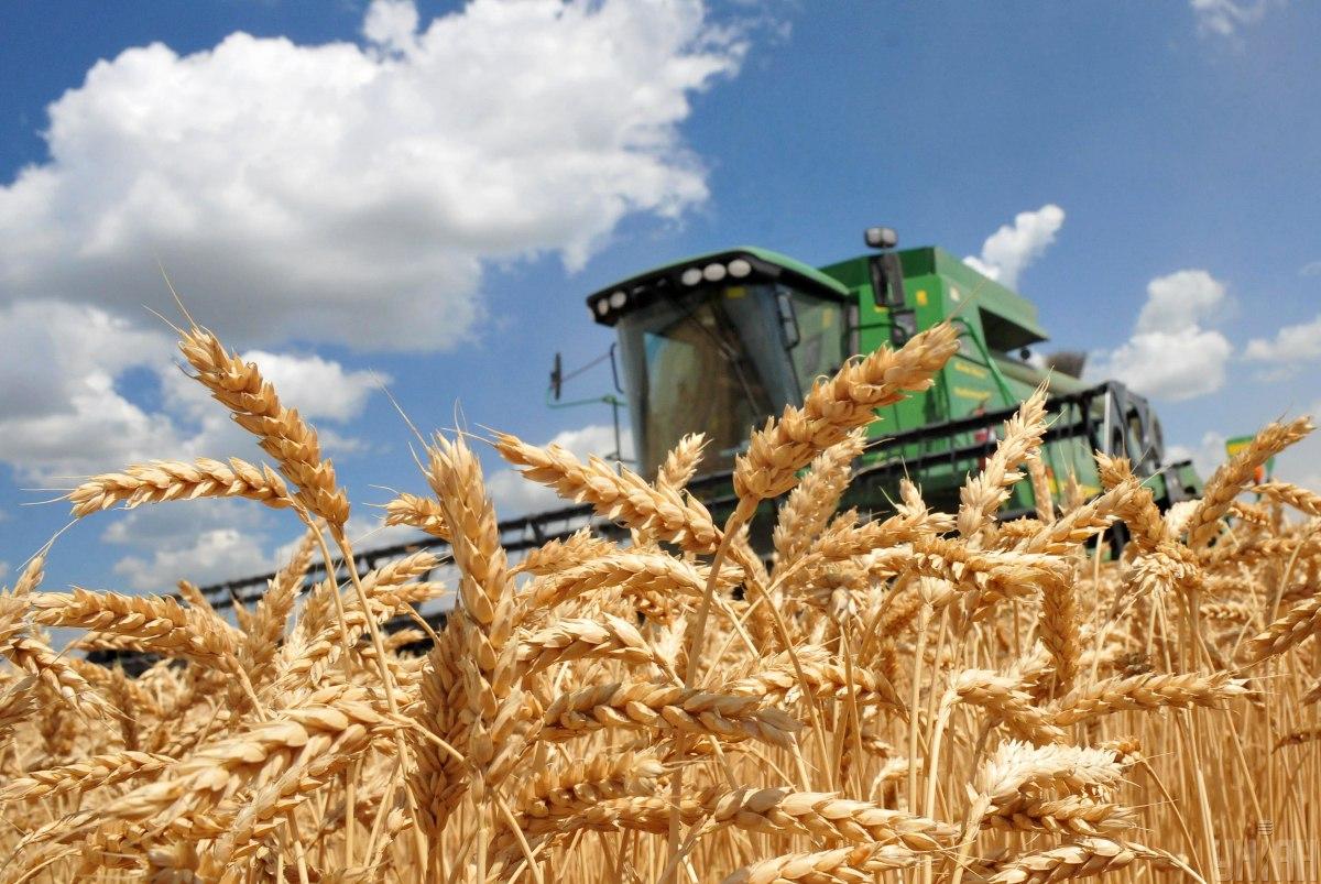 Одеські аграрії вже обмолотили зернові