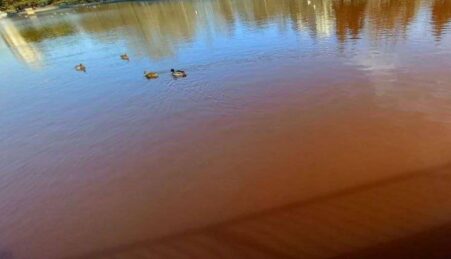 грязная вода в парке победи, Одеса, 3 квітня