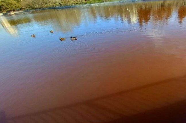 грязная вода в парке победи, Одеса, 3 квітня