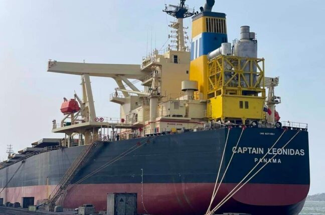 Порт Південний, рекордні 195,7 тисячі тонн вантажу, Одещина, 6 квітня